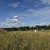Продам участок 10 соток, Садоводство, Ясный пер, Марьинское д, 0 км от города