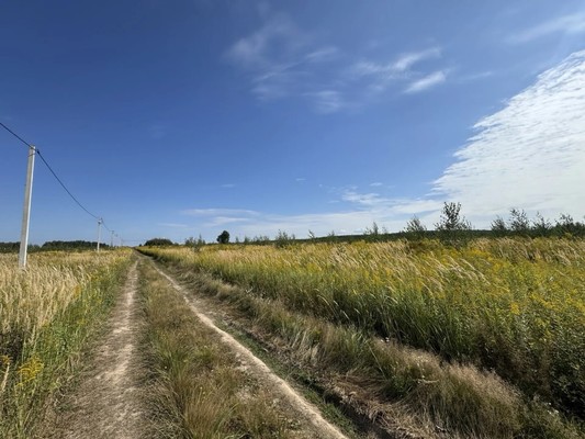 Продам участок 10 соток, Фермерское хоз., Дачный пер, Ламоново д, 0 км от города