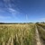 Продам участок 10 соток, Фермерское хоз., Дачный пер, Ламоново д, 0 км от города