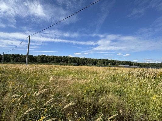 Продам участок 10 соток, Фермерское хоз., Дачный пер, Ламоново д, 0 км от города