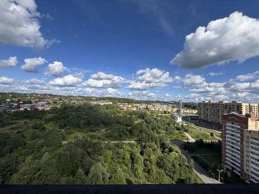 Продам трехкомнатную (3-комн.) квартиру, Дмитровская ул, 6А, Базарово д