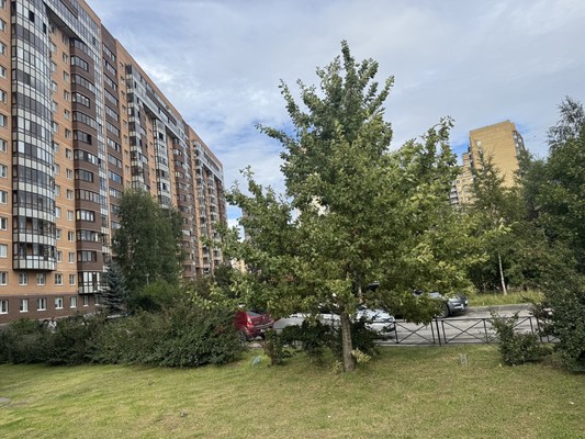Продам двухкомнатную (2-комн.) квартиру, Арсенальная ул, 1, Новое Девяткино д
