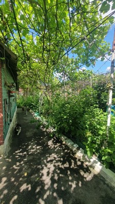 Продам дом, Пестеля ул, 105а, Ростов-на-Дону г, 0 км от города