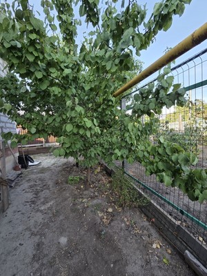 Продам дом, Отдыха ул, 15м, Волгодонск г, 0 км от города