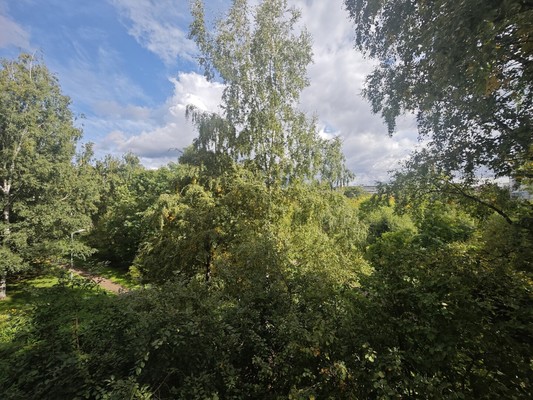 Продам двухкомнатную (2-комн.) квартиру, Придорожная аллея, 5А, Санкт-Петербург г