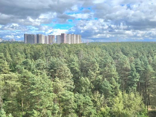 Продам двухкомнатную (2-комн.) квартиру, 100 кв-л, 1к3, Москва г