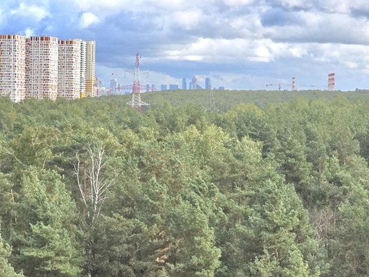 Продам двухкомнатную (2-комн.) квартиру, 100 кв-л, 1к3, Москва г