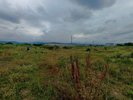Продам участок 10 соток, ИЖС, Мира ул, Шалушка с, 0 км от города