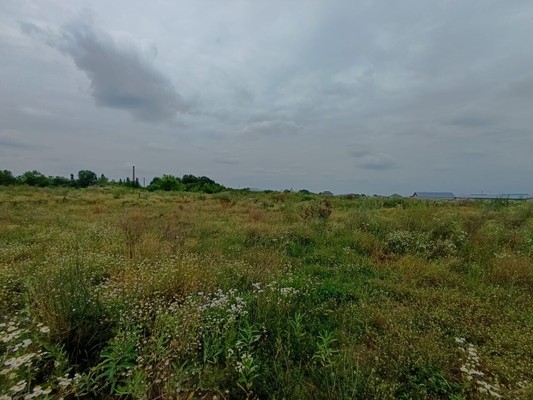 Продам участок 10 соток, ИЖС, Мира ул, Шалушка с, 0 км от города