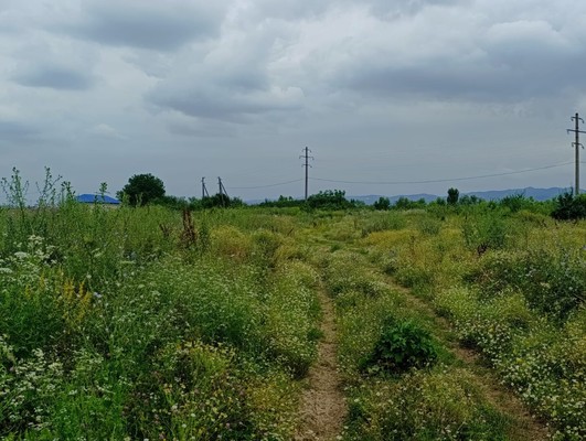 Продам участок 10 соток, ИЖС, Мира ул, Шалушка с, 0 км от города