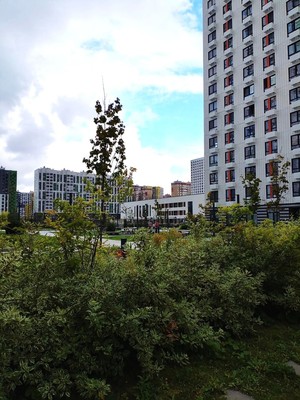 Продам двухкомнатную (2-комн.) квартиру, Южная ул, 9к1, Дрожжино рп