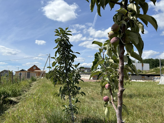 Продам участок 6 соток, Фермерское хоз., 96, Иннолово д, 0 км от города