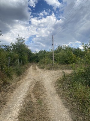 Продам участок 10 соток, Фермерское хоз., Дубки с, 0 км от города