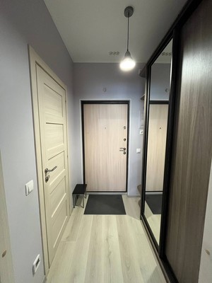 Продам однокомнатную (1-комн.) квартиру, Ручьевский пр-кт, 9, Мурино п