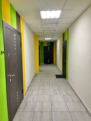 Продам однокомнатную (1-комн.) квартиру, Ручьевский пр-кт, 9, Мурино п