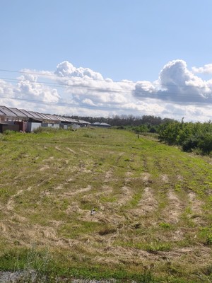 Продам участок 23 соток, ИЖС, Луговая ул, 3, Красный Крым х, 0 км от города