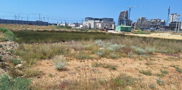 Продам участок 6 соток, ИЖС, Железнодорожная ул, Прибрежное с, 0 км от города