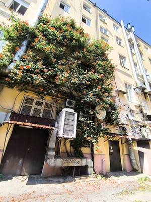 Продам комнату в 9-комн. квартире, Пушкинская ул, 48к41, Ростов-на-Дону г