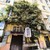 Продам комнату в 9-комн. квартире, Пушкинская ул, 48к41, Ростов-на-Дону г