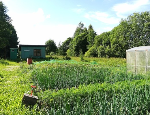 Продам дом, Березовая ул, 15, Конюцкое д, 0 км от города