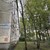 Продам однокомнатную (1-комн.) квартиру, Науки пр-кт, 11к2, Санкт-Петербург г