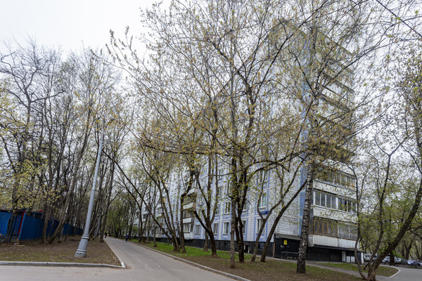 Продам однокомнатную (1-комн.) квартиру, Ореховый б-р, 39к2, Москва г