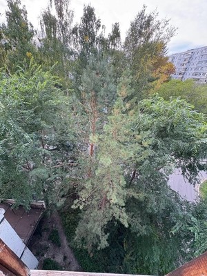 Продам однокомнатную (1-комн.) квартиру, Гаврилова ул, 8, Казань г