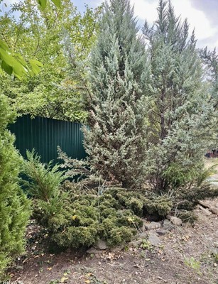 Продам участок 6 соток, Фермерское хоз., 3-я Крепкая ул, 393, Ростов-на-Дону г, 0 км от города