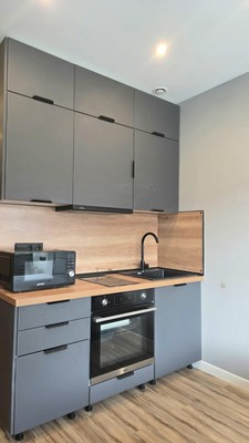 Продам однокомнатную (1-комн.) квартиру, Энергетиков пр-кт, 2к2, Санкт-Петербург г