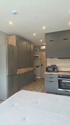 Продам однокомнатную (1-комн.) квартиру, Энергетиков пр-кт, 2к2, Санкт-Петербург г