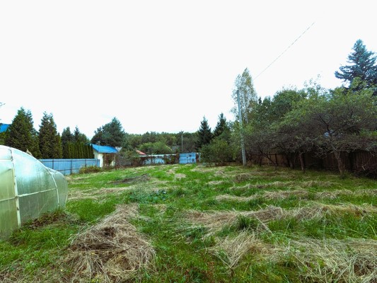 Продам участок 16,6 соток, ИЖС, Березовая ул, 23, Волосово д, 0 км от города