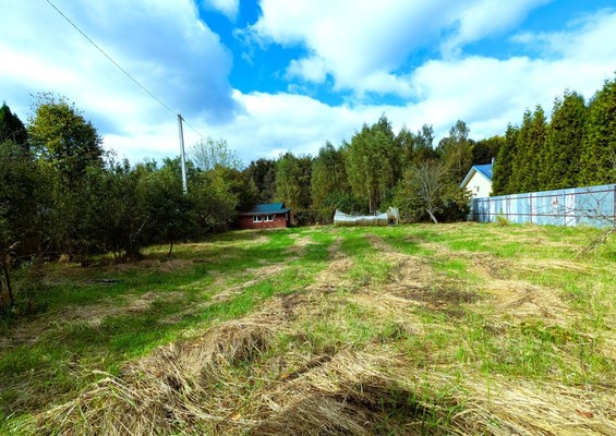 Продам участок 16,6 соток, ИЖС, Березовая ул, 23, Волосово д, 0 км от города