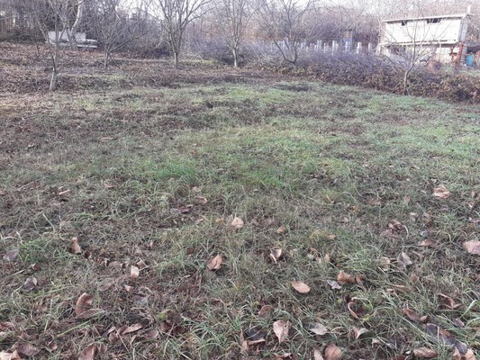 Продам участок 10 соток, Фермерское хоз., Медик снт, Лозовое с, 0 км от города