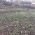 Продам участок 10 соток, Фермерское хоз., Медик снт, Лозовое с, 0 км от города