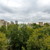 Продам двухкомнатную (2-комн.) квартиру, Затонная ул, 4, Москва г