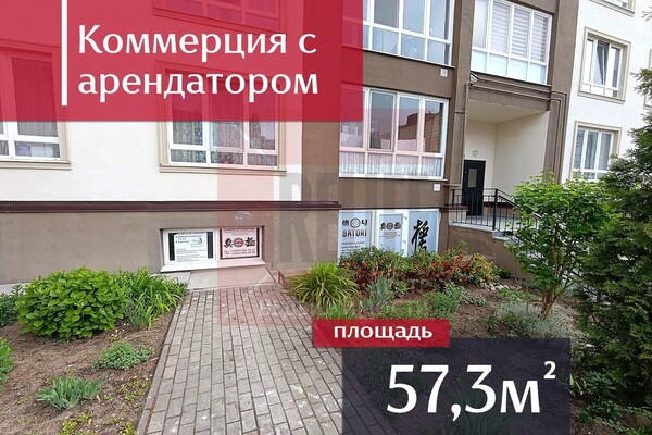 Продам коммерческое помещение 57,3 м2, Весенняя ул, 1, Васильково п