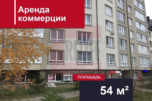 Сдам коммерческое помещение 53,9 м2, Весенняя ул, 1, Васильково п