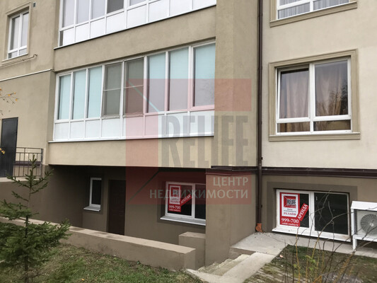 Сдам коммерческое помещение 53,9 м2, Весенняя ул, 1, Васильково п