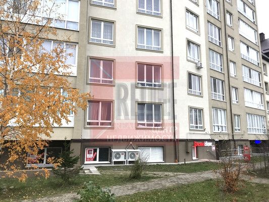 Продам коммерческое помещение 53,9 м2, Весенняя ул, 1, Васильково п