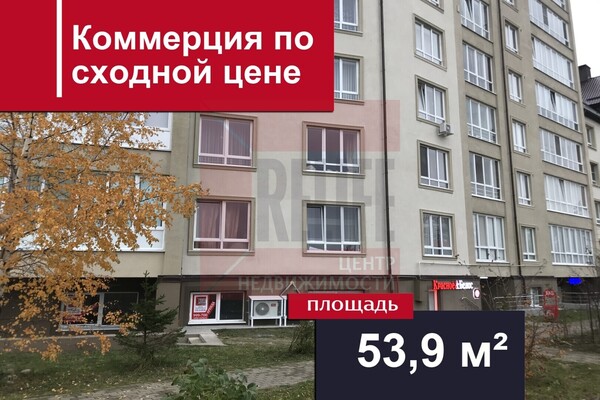 Продам коммерческое помещение 53,9 м2, Весенняя ул, 1, Васильково п