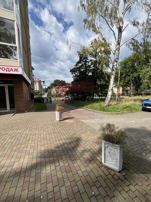 Сдам коммерческое помещение 43 м2, Майский проезд, 3, Светлогорск г