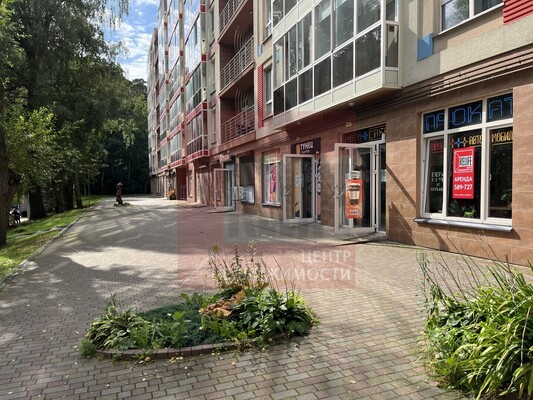 Сдам коммерческое помещение 43 м2, Майский проезд, 3, Светлогорск г