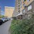 Продам однокомнатную (1-комн.) квартиру, Мира ул, 4к1, Люберцы г