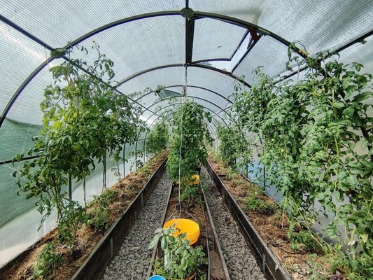 Продам участок 1 309 соток, Фермерское хоз., Лазо ул, Находка г, 0 км от города