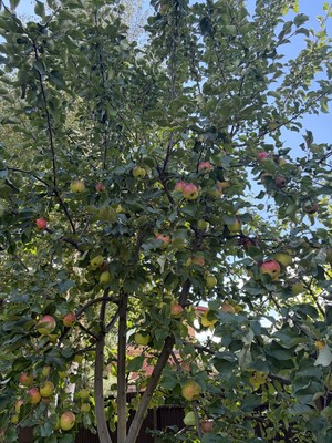 Продам коттедж, Заречная ул, Захарово с, 0 км от города