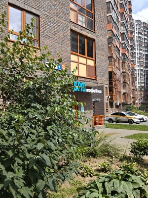 Продам трехкомнатную (3-комн.) квартиру, Романычева (Новое Павлино мкр.) ул, 1, Балашиха г