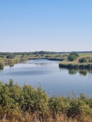 Продам дом, Сады ул, 13, Чалтырь с, 0 км от города