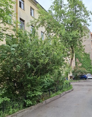 Продам двухкомнатную (2-комн.) квартиру, Средняя Подьяческая ул, 16, Санкт-Петербург г