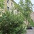 Продам двухкомнатную (2-комн.) квартиру, Средняя Подьяческая ул, 16, Санкт-Петербург г