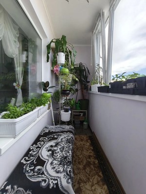 Продам двухкомнатную (2-комн.) квартиру, Сирина ул, 68Б, Ханты-Мансийск г